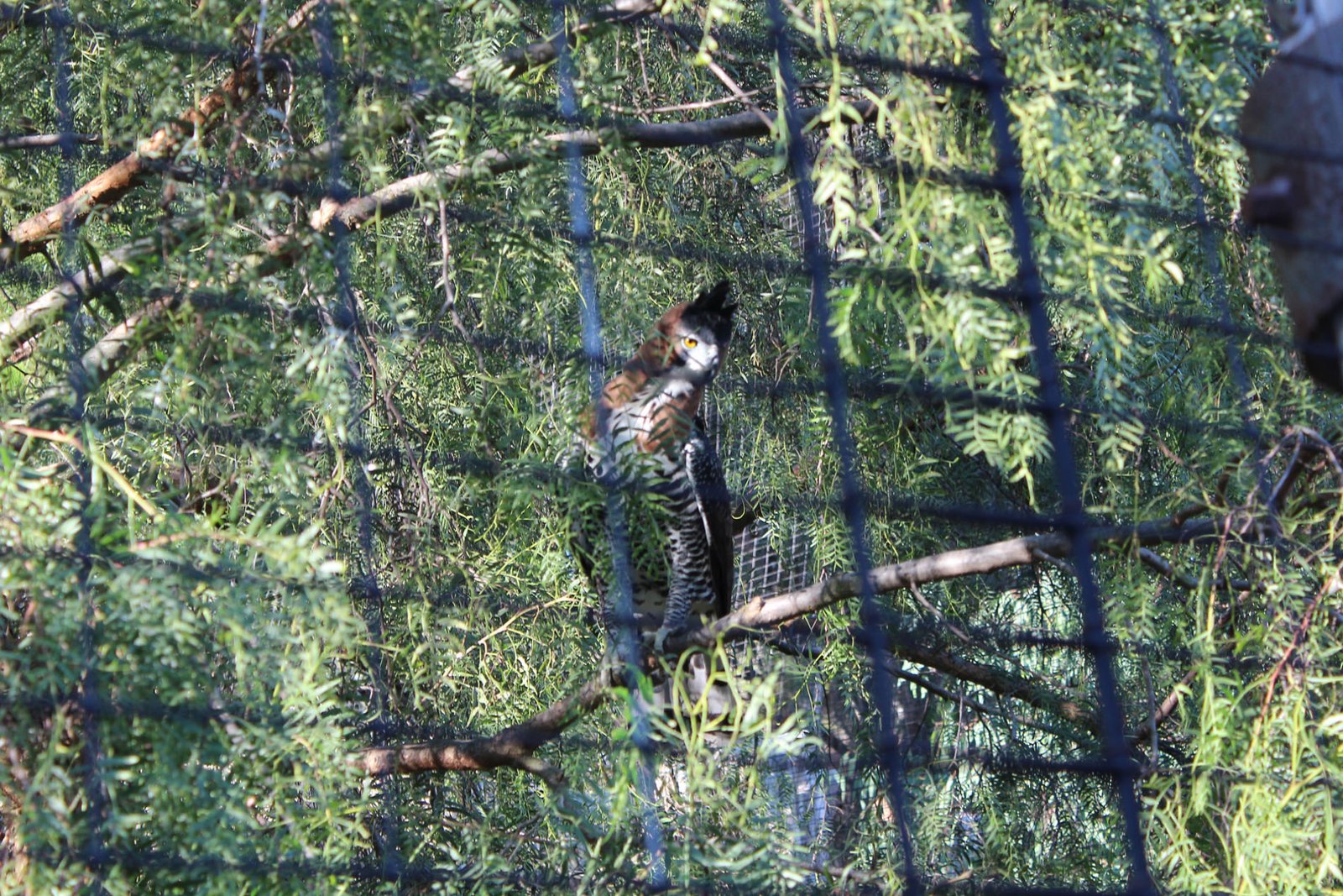 San Diego Zoo Part II 075